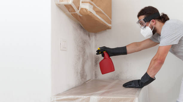 Professional Crawl Space Mold Removal technician working in Ashland, IL
