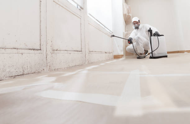 24/7 Emergency Crawl Space Mold Removal experts in Ashland, IL