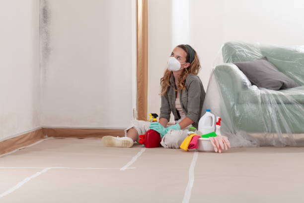 Reliable Crawl Space Mold Removal contractor in Ashland, IL by WQB Mold Removal
